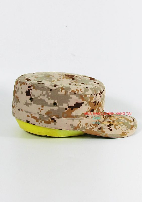 Mặt ngan của nón